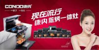 康内分体式集成灶——以品质“灶”就口碑！