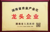 福湘再获两项省级荣誉，实力见证品牌力量