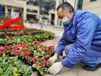 世茂服务中西部|春节“气氛组”已就位，年味浓浓过新春！