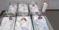 全方位防护，远大助你安度春节