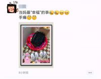 顶固智能晾衣机：神兽即将开学，父母们泪奔了！内容过于真实～