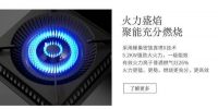 蓝炬星AIoT智能集成灶引领未来智能厨房