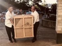 当代中国最私密的国民品牌