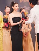 佳歌集成灶品牌代言人佟丽娅荣获“微博年度之星”！