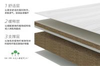 品质3·15丨大自然专注植物床垫31年 只为守护你的生态睡眠