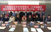 《轻集料连锁免抹灰砌块施工技术规程（送审稿）》审查会在京召开