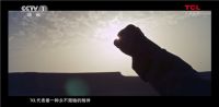TCL，迈向全球领先的秘钥