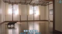 学日本主妇断舍离收纳，扔掉几百件东西，我却被我妈骂惨了