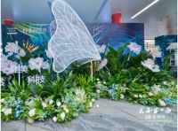 解锁女性多面美丽 津梁生活女神展精彩开展