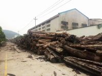 3月展会季，经销商为何爱看十大新中式品牌：本木上造