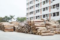 3月展会季，经销商为何爱看十大新中式品牌：本木上造