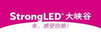 传统五金渠道迎来新变革，雷士照明新模式开辟新赛道