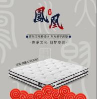 家居未来说 | 晚安床垫李永明：发力工程渠道 稳中求进促发展