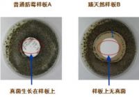 长颈鹿牌臻天然抗病毒无机矿物涂料强势出道!
