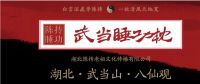 《私人订制》武当睡功枕，给你独一无二的睡眠体验！
