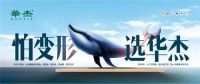 喜报：华杰木业这项科技成果达到国内领先水平
