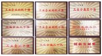 佳歌集成灶「品质315·丽享特斯拉」交车仪式圆满成功！！