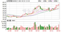 志邦家居2020年营收同比增长约29.65%