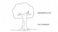 上臣地板莫兰迪实木系列之阔变豆