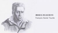 上臣地板莫兰迪实木系列之阔变豆