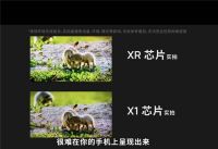 创纪录！索尼京东独家定制款X91J游戏电视首发销量破2000台！