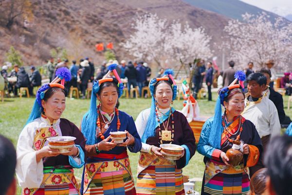 第四届觉龙桃花节开幕，芒康县政府邀你来网红地打卡