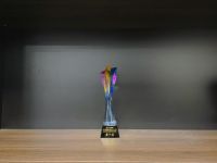 除甲醛公司品牌排行，凡斯荣获长三角技能大赛冠军，除醛品质业内领军