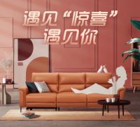 顾家家居为向往而ZAO!ZAO出&ldquo;梨&rdquo;想生活
