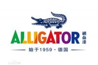 艺术涂料十大品牌，2021年最新全揭秘