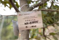 柏厨家居第三所“柏心园”植根红色茶山，传递爱与责任