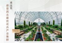4月17日 | 北二环大明宫花卉市场试营业