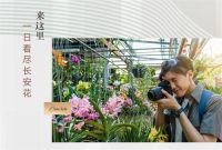 4月17日 | 北二环大明宫花卉市场试营业