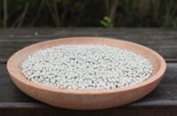 自从学会新房除甲醛这样做，邻居快踏破我家门槛，一个月入住也不难