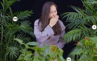 北疆硅藻泥海洋臻萃G7雪山白全方位测评