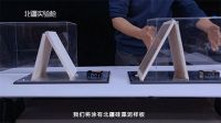 北疆硅藻泥海洋臻萃G7雪山白全方位测评