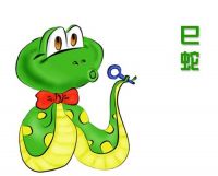 属蛇跟什么属相犯冲 属蛇的是什么命