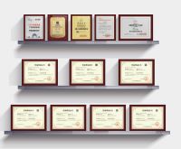 匠领软装 中国墙布十大公认品牌 匠领无缝壁布获得