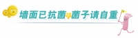 五一品质家装节 明星产品儿童漆抗菌再升级