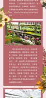 51让家更美 | 北二环大明宫花卉市场盛大开业，致敬美好人居。
