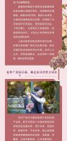 51让家更美 | 北二环大明宫花卉市场盛大开业，致敬美好人居。