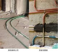 圣诞鸟整装：设计到位，施工更要到位