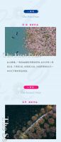 “樱你精彩”第二季摄影大赛落幕 41人载誉而归