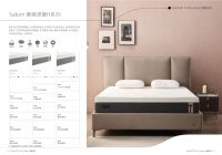 泰普尔living系列上新，你和深度睡眠就差一个它！