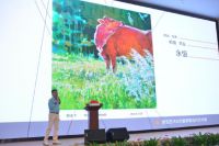 博观美学举办「原创艺术与巴塞罗那当代艺术展」开幕仪式在深圳书城圆满举行！