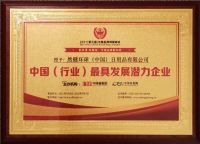 然健环球荣获中国品牌博鳌峰会“最具发展潜力企业”奖