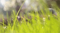 欧神诺瓷砖 | 适合小满节气的4款家装风格，请查收！