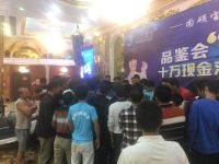 美女车模空降西昌某建材品鉴会，受众多彪形大汉围观打砸