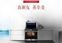 集成灶品牌全国前十名排行榜