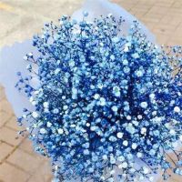 满天星的花语和寓意 满天星适合送什么人