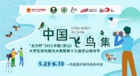太力科技集团冠名中国（京山）观鸟节，玩出“数字化”新花样